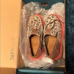 Ariat Cheetah and Pink Cruiser